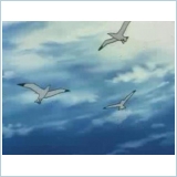 Weiss Kreuz?