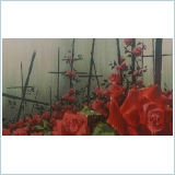 Utena, movie